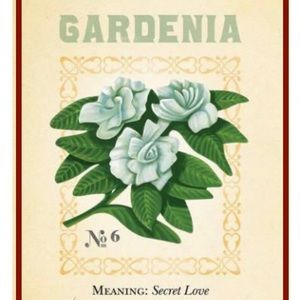 Meet your Posher, Eliza